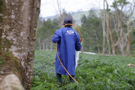 Laba Delta Giri (DGWG) Capai Rp218,85 Miliar di 2025, Naik 22,48 Persen (FOTO:Dok DGWG)