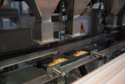 Larangan Ekspor Konsentrat Tekan Kinerja, Laba AMMN Anjlok 60 Persen ke Rp4,39 Triliun  (Foto: dok AMMN)