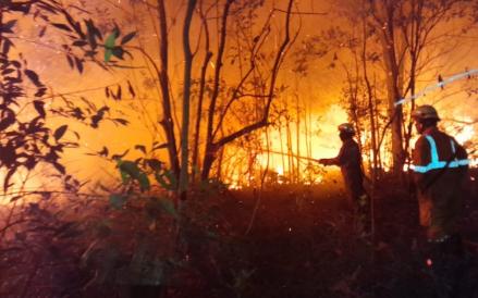 BMKG Deteksi 201 Titik Panas Diduga Karhutla di Riau, Ini Rinciannya