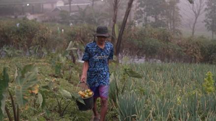 Kisah Petani Muda Boyolali yang Penjualannya Meningkat Berkat Program MBG. (Foto: Badan Komunikasi Pemerintah)