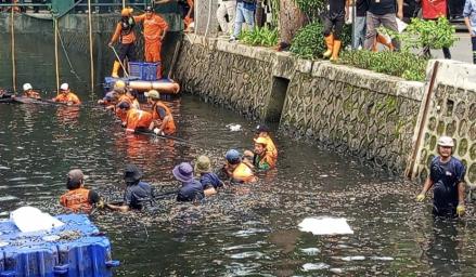 6,98 Ton Ikan Sapu-sapu Ditangkap dalam Operasi Pembersihan di 5 Wilayah Jakarta (FOTO:Dok Ist)