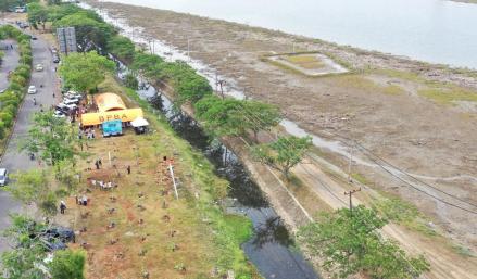 Mitigasi Bencana, BNPB Tanam 2.257 Bibit Pohon di Beberapa Wilayah Aceh (FOTO:Dok Ist)