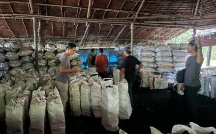 Polisi Bongkar Perusakan Hutan Mangrove, Dua Pemilik Dapur Arang Ilegal Ditangkap