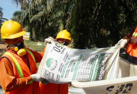 Perusahaan Hong Kong Akuisisi 98,26 Persen Saham PNGO, Siap Gelar Tender Wajib (Foto: iNews Media Group)