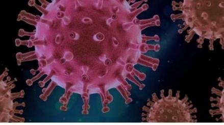 Kemenkes Ungkap Ada Dua Suspek Diduga Tertular Virus Hanta di Indonesia. (Foto: iNews Media Group)