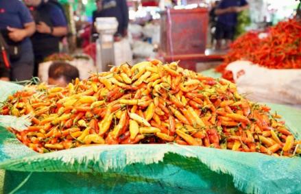 Bapanas Klaim Harga Cabai Rawit Mulai Stabil di Rp63.252 per Kg