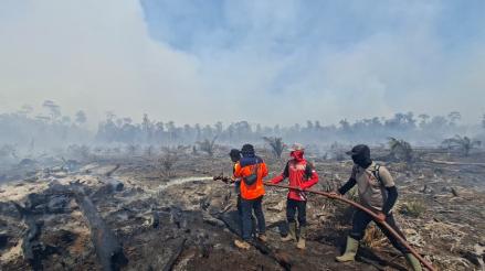 Karhutla di Aceh dan Riau, Lebih dari 15 Ribu Hektare Lahan Terbakar. (Foto Istimewa)