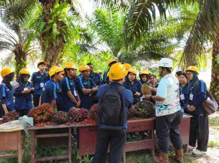 PERKASA Dari TAP Untuk Negeri Dorong Petani Sukamara Tingkatkan Kapasitas. (Foto: Istimewa)