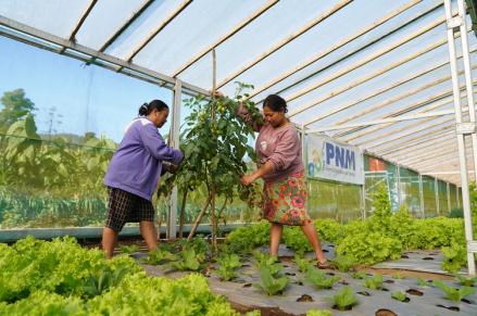 Indonesia Sustainability Award Apresiasi Komitmen ESG dan Pemberdayaan Berkelanjutan PNM. (Foto: PNM)