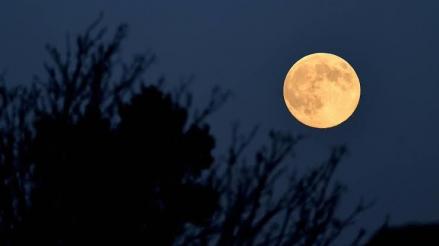 Ada Fenomena Super New Moon, BMKG Minta Masyarakat Waspadai Banjir Rob hingga 22 Juli 2026 (FOTO:iNews Media Group)