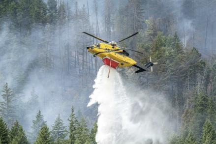 Trump Salahkan Kanada Penyebab Kebakaran Hutan, Bakal Dikenakan Tambahan Biaya Tarif (FOTO:Dok Laman Reuters)