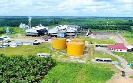 PT Pinago Utama Tbk dengan kode emiten PNGO resmi berganti nama menjadi PT AEP Pinago Plantations Tbk. (Foto: Ist)