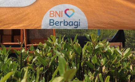 Hari Mangrove Sedunia Jadi Momentum BNI Perkuat Komitmen Pelestarian Lingkungan dan Ekonomi Pesisir. (Foto Istimewa