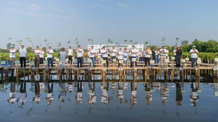 Cegah Abrasi Makin Parah, 2.000 Bibit Mangrove Ditanam di Pesisir Utara Jakarta. (Foto Istimewa)
