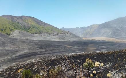 Pemadaman Rampung, Kunjungan Wisata Gunung Bromo Resmi Kembali Dibuka. (Foto: MNC Media/Avirista)