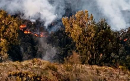 Karhutla Gunung Arjuno: Pendakian Ditutup Sementara, Seluruh Pendaki Dievakuasi. (Foto: MNC Media/Avirista)