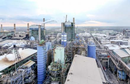 Menakar Prospek Saham Pulp dan Kertas di Tengah Ekspansi Kapasitas. (Foto: Indah Kiat)