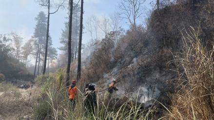 Karhutla di Gunung Merapi, Sebagian Besar Area Terbakar Berhasil Dipadamkan Tadi Malam. (Foto Istimewa)