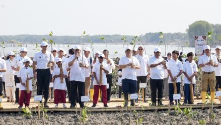 Lindungi Pantai Utara Jawa dari Abrasi, BRI Tanam 30 Ribu Bibit Mangrove (FOTO:Dok BRI)