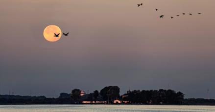 Ada Fenomena Hunter’s Moon 26 Oktober Mendatang, Ini Kata BMKG. (Foto: Time and Day)