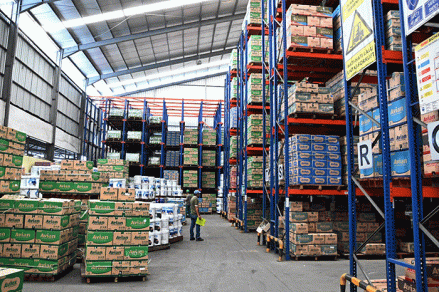 Produsen Cat (AVIA) Raup Penjualan Rp2 Triliun pada Kuartal I-2025 (foto inews media group)