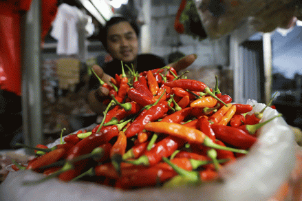 Harga Cabai Rawit Merah Kian Pedas, Naik 1,3 Persen Jadi Segini. (Foto MNC Media)