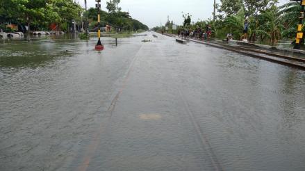 BNPB Sebut Fenomena Penurunan Tanah jadi Penyebab Banjir di Semarang (FOTO:MNC Media)