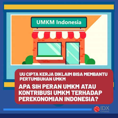 Apa Saja Peran UMKM Bagi Perekonomian Indonesia