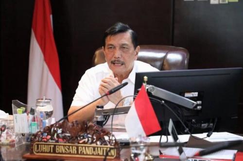 Luhut: Masyarakat Cepat Beradaptasi Beli Minyak Goreng Pakai PeduliLindungi