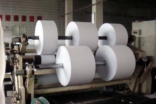 Tren Green Lifestyle Meningkat, Indonesia Bidik Peluang Industri Pulp dan Kertas