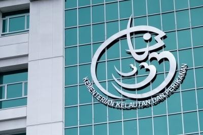Incar Pasar Ekspor, KKP Gandeng Korsel Kembangkan Budidaya Ikan Napoleon