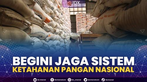 Begini Jaga Sistem Ketahanan Pangan Nasional 3100