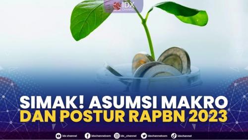 Simak! Asumsi Makro Dan Postur RAPBN 2023