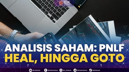 Analisis Saham PNLF HEAL Hingga Goto