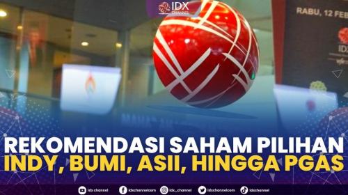 Rekomendasi Saham Pilihan: INDY, BUMI, ASII, Hingga PGAS