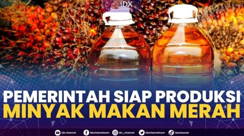 Pemerintah Siap Produksi Minyak Makan Merah