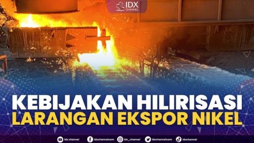 Kebijakan Hilirisasi Larangan Ekspor Nikel