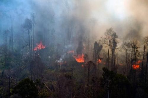BMKG Minta Seluruh Pihak Lakukan Aksi Mitigasi Hadapi Ancaman Karhutla