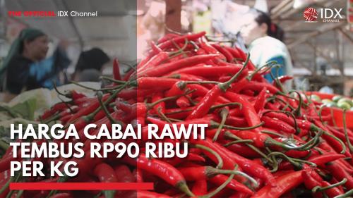 Harga Cabai Rawit Tembus Rp90 Ribu Per Kg