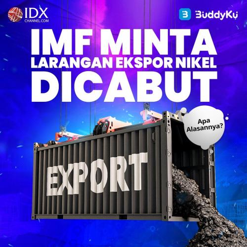 IMF Minta Larangan Ekspor Nikel Dicabut, Apa Alasannya?