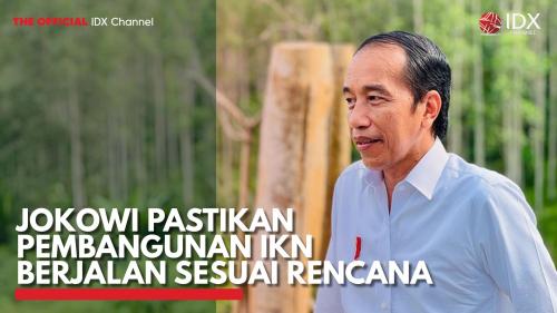 Jokowi Pastikan Pembangunan IKN Berjalan Sesuai Rencana