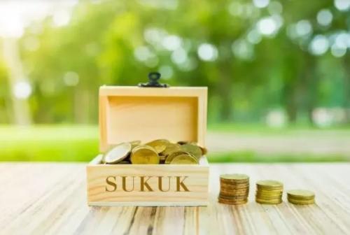 War Sukuk Tabungan ST013 Dimulai, Cek Kupon dan Cara Belinya