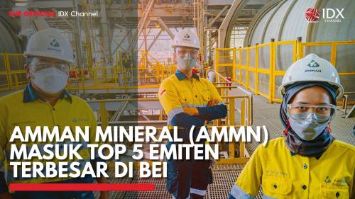 Amman Mineral Ammn Masuk Top 5 Emiten Terbesar Di Bei