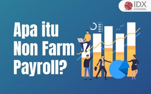 Apa Yang Dimaksud Dengan Non Farm Payroll?