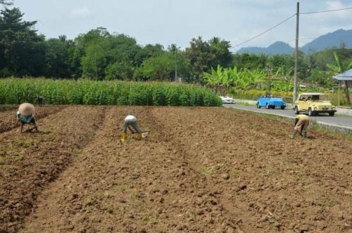 Hindari Modus Penipuan, Warga Diminta Pastikan Petugas Ukur Tanah Resmi dari BPN