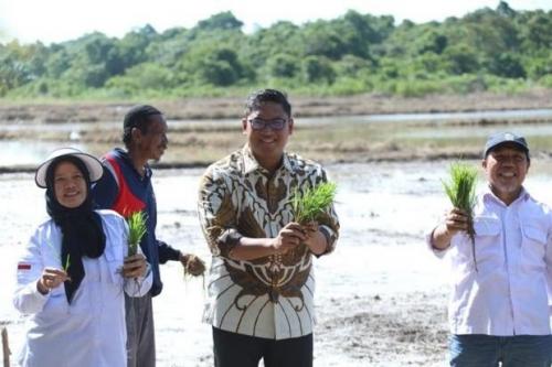 Wamentan Sebut Pencabutan Aturan Ini Bisa Buat Petani Sejahtera