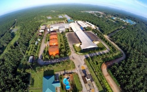 Saham SSMS Naik Hampir 100 Persen dalam Seminggu, Cek Prospeknya