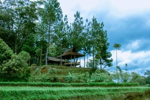 Ini Pilihan Menarik Tempat Wisata di Purwakarta yang Lagi Hits