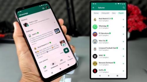 Cara Membuat WhatsApp Channel Sendiri, Gampang Banget 