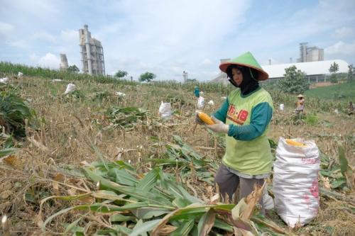 Bentuk Huluisasi Penanganan Lingkungan, Pewajiban Sustainability Report oleh BEI Diapresiasi